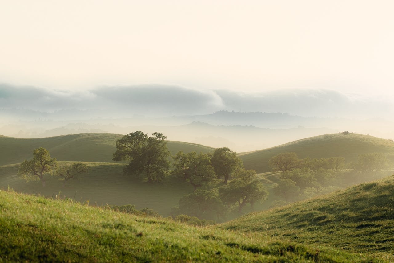 Land buyers in Tennessee