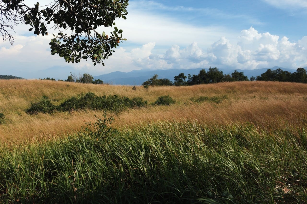 Sell farmland in Tennessee