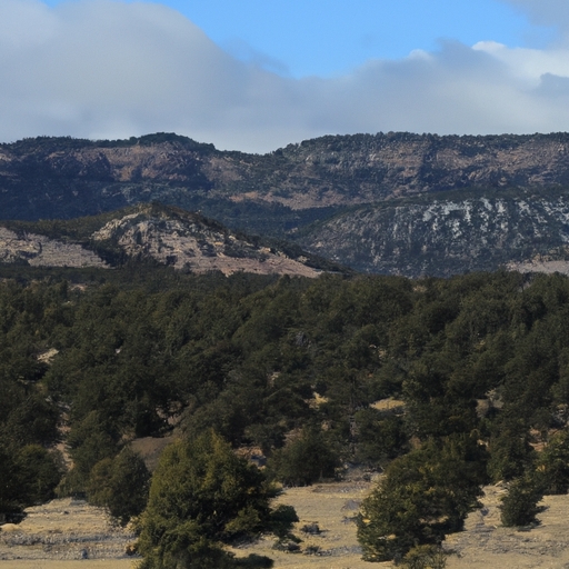 Cash offer for land in New Mexico