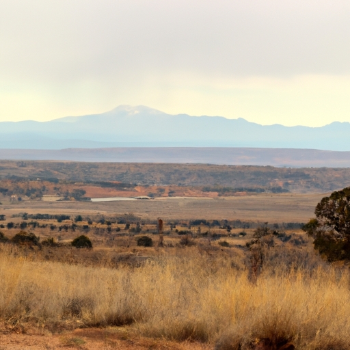 Fast cash for New Mexico land