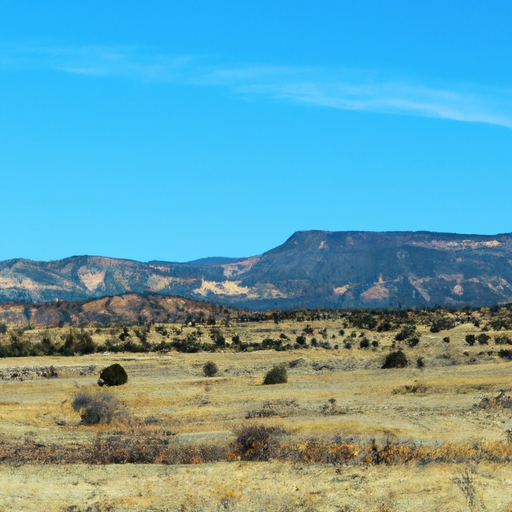 Sell undeveloped land New Mexico