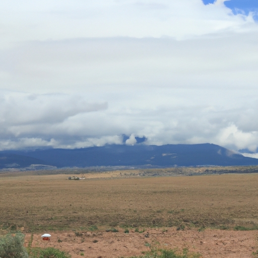 Land buyers in New Mexico