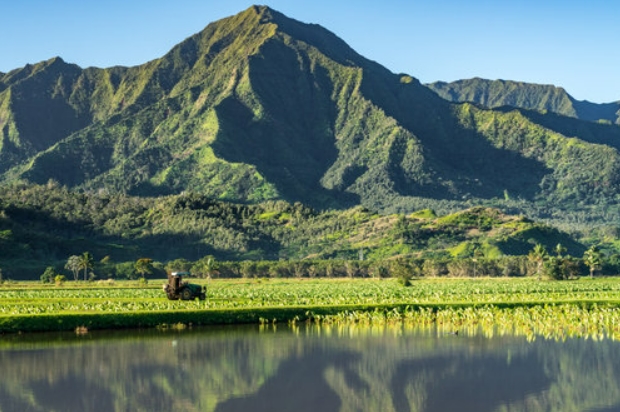 Cash purchase Hawaii land