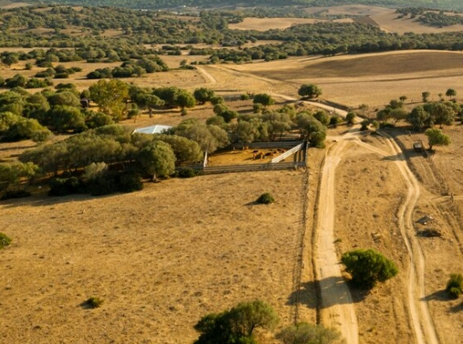 Oklahoma land investors