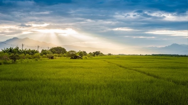 Pennsylvania vacant land buyers