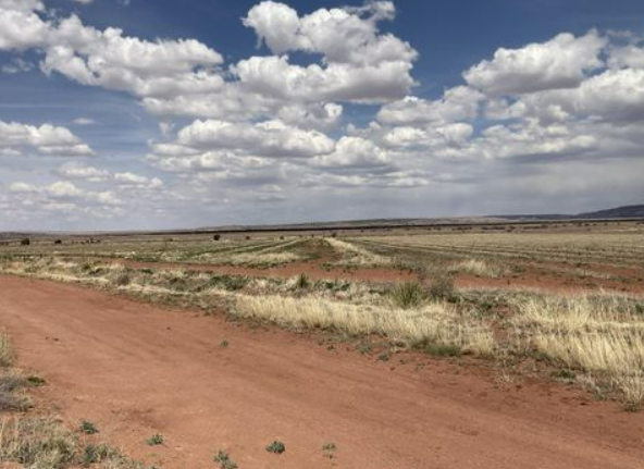 New Mexico land cash offer