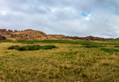 Land cash buyers in New Mexico