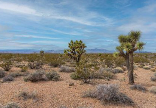 New Mexico land buyers