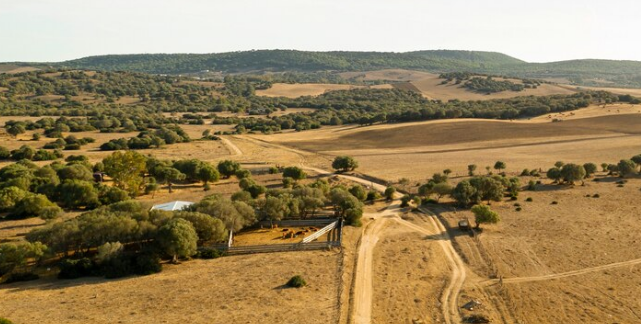 Sell land in New Mexico