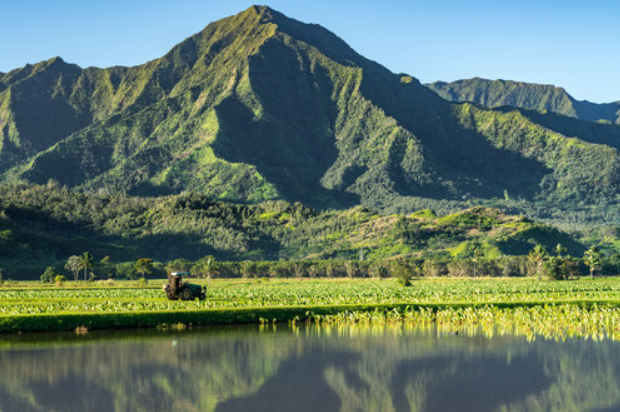 Are there any taxes or fees when selling land for cash in Hawaii