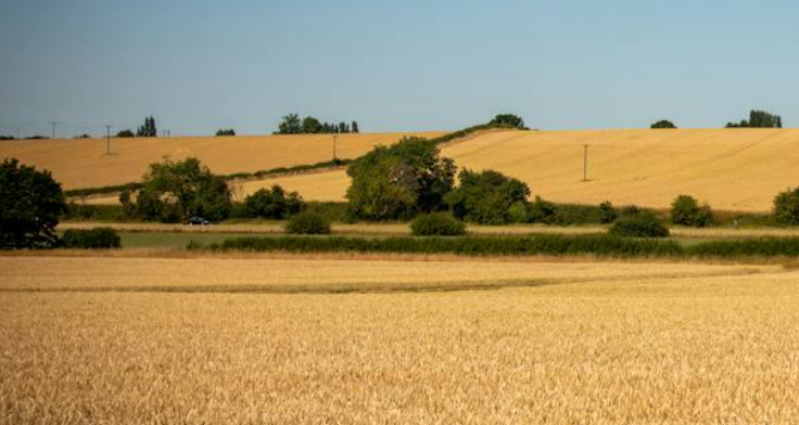 Cash buyers for New Mexico land