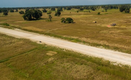 Land buyers in New Mexico