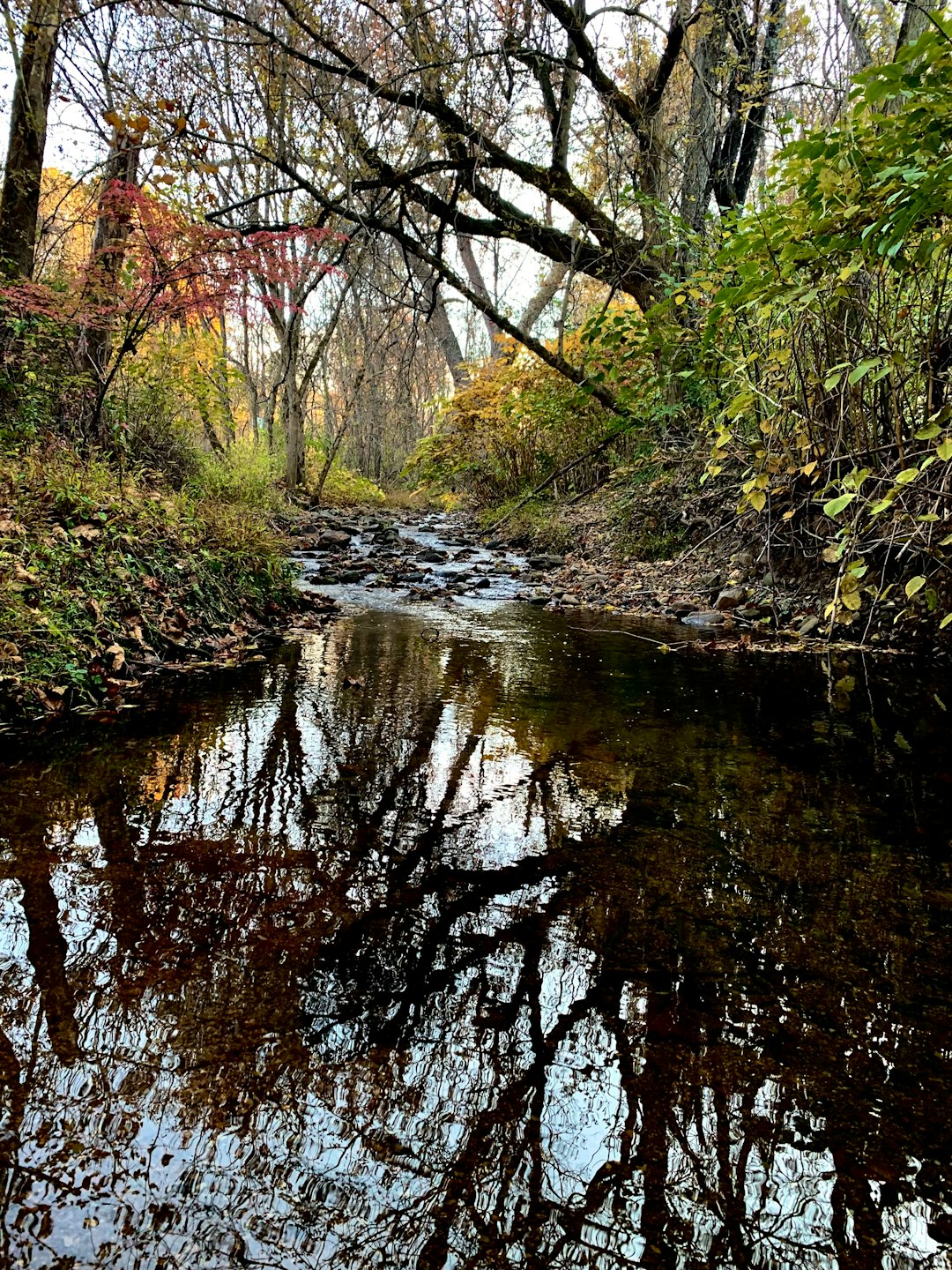 Selling land with hunting rights in Wisconsin