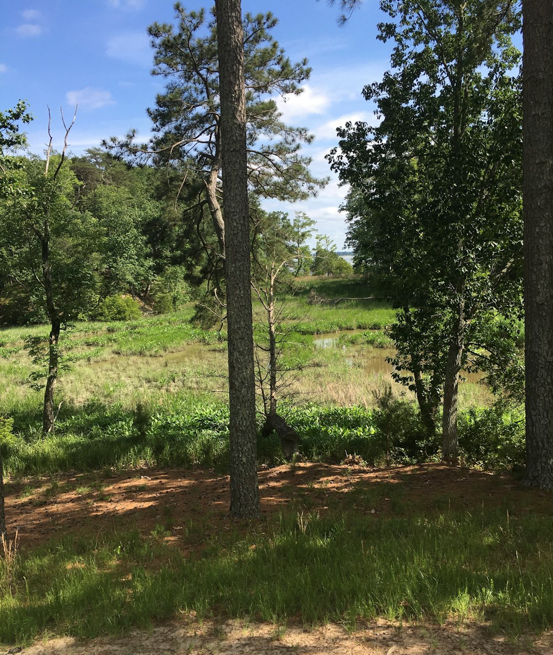 Selling farm land in Wisconsin