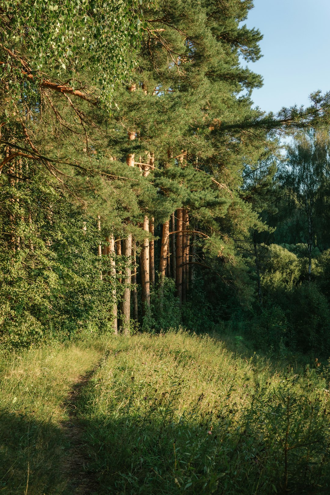 Get cash for rural land in Wisconsin