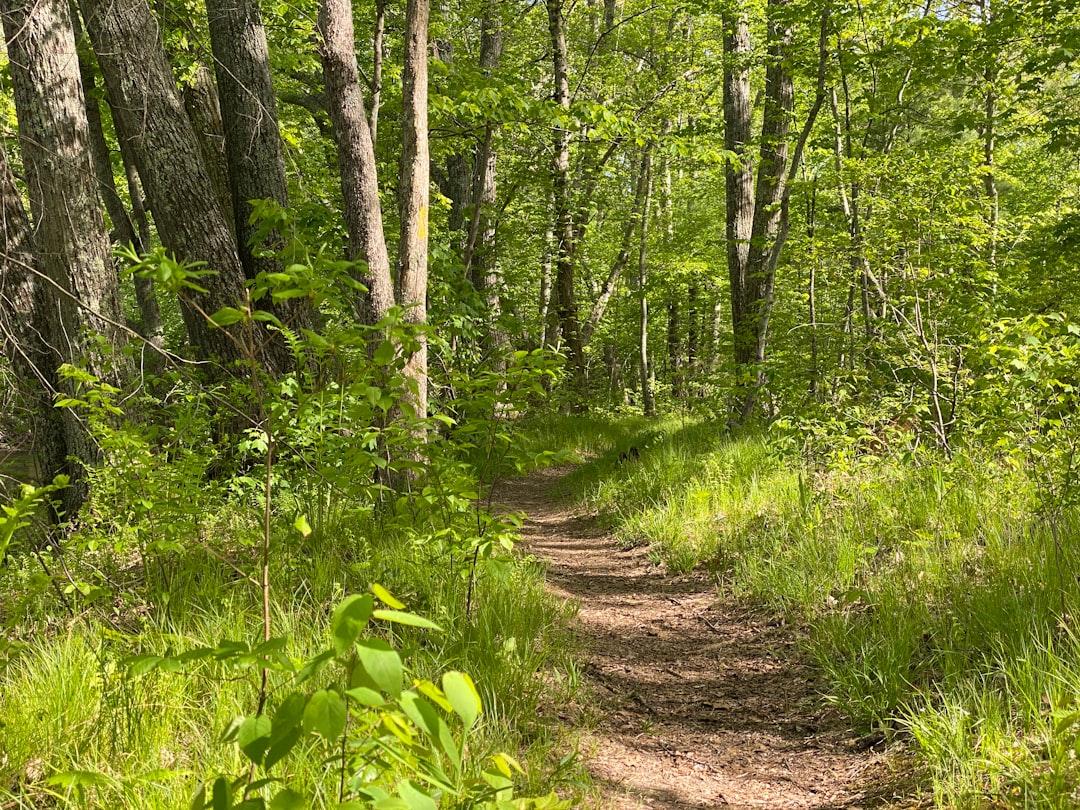 Land buyer in Missouri