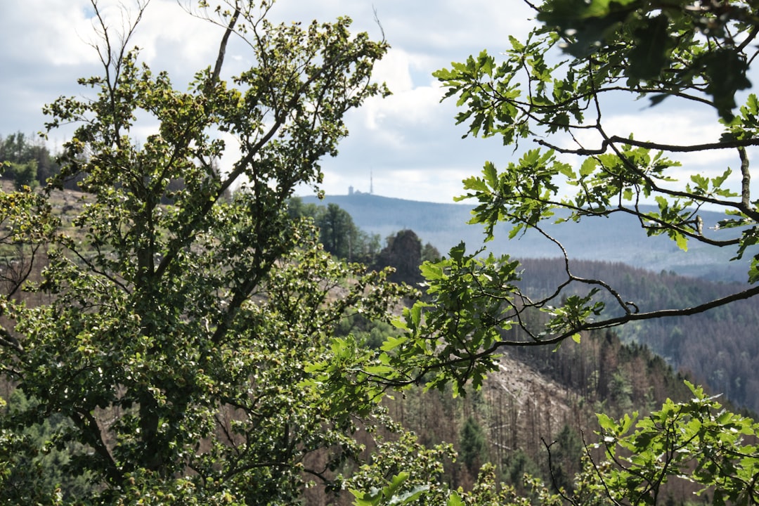 Sell Utah land for cash