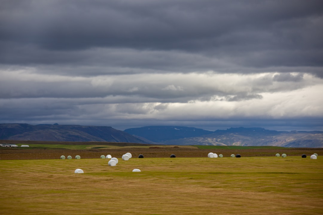 Nevada land for cash offer