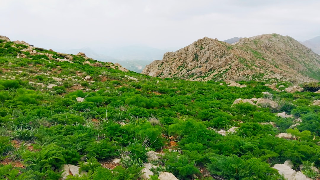 Nevada land subdivide