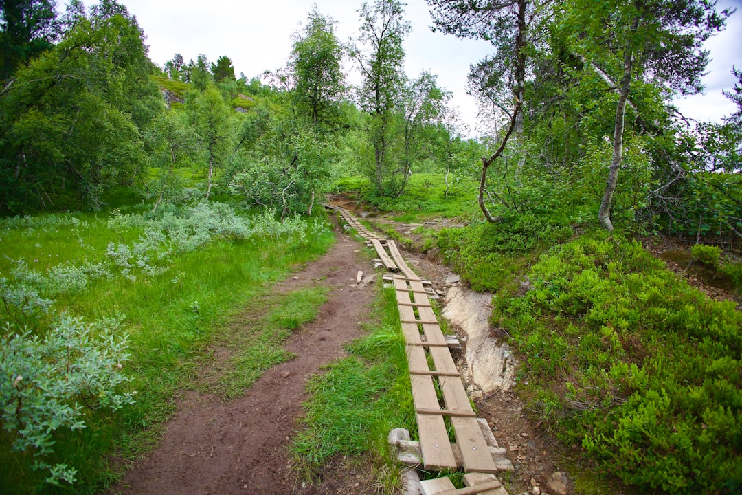 Idaho land for off-grid living