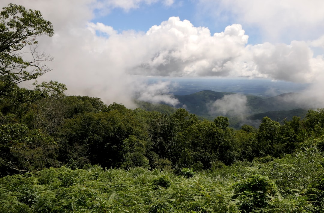 Sell my hunting land in Connecticut