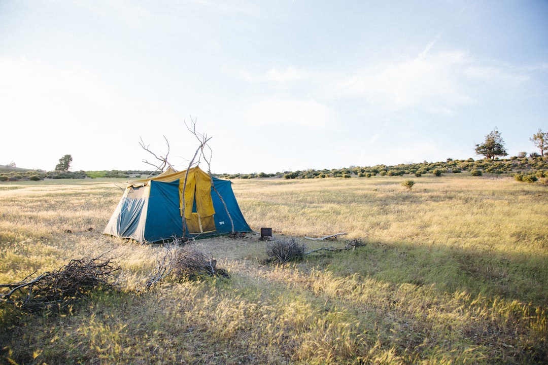 Wyoming land values