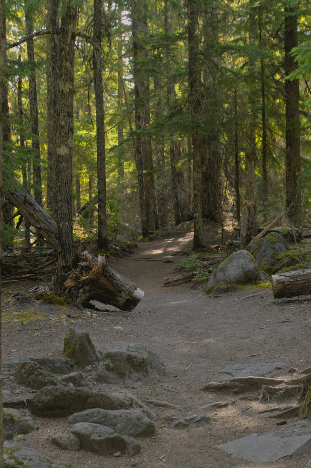 Sell land with water rights in Oregon for cash