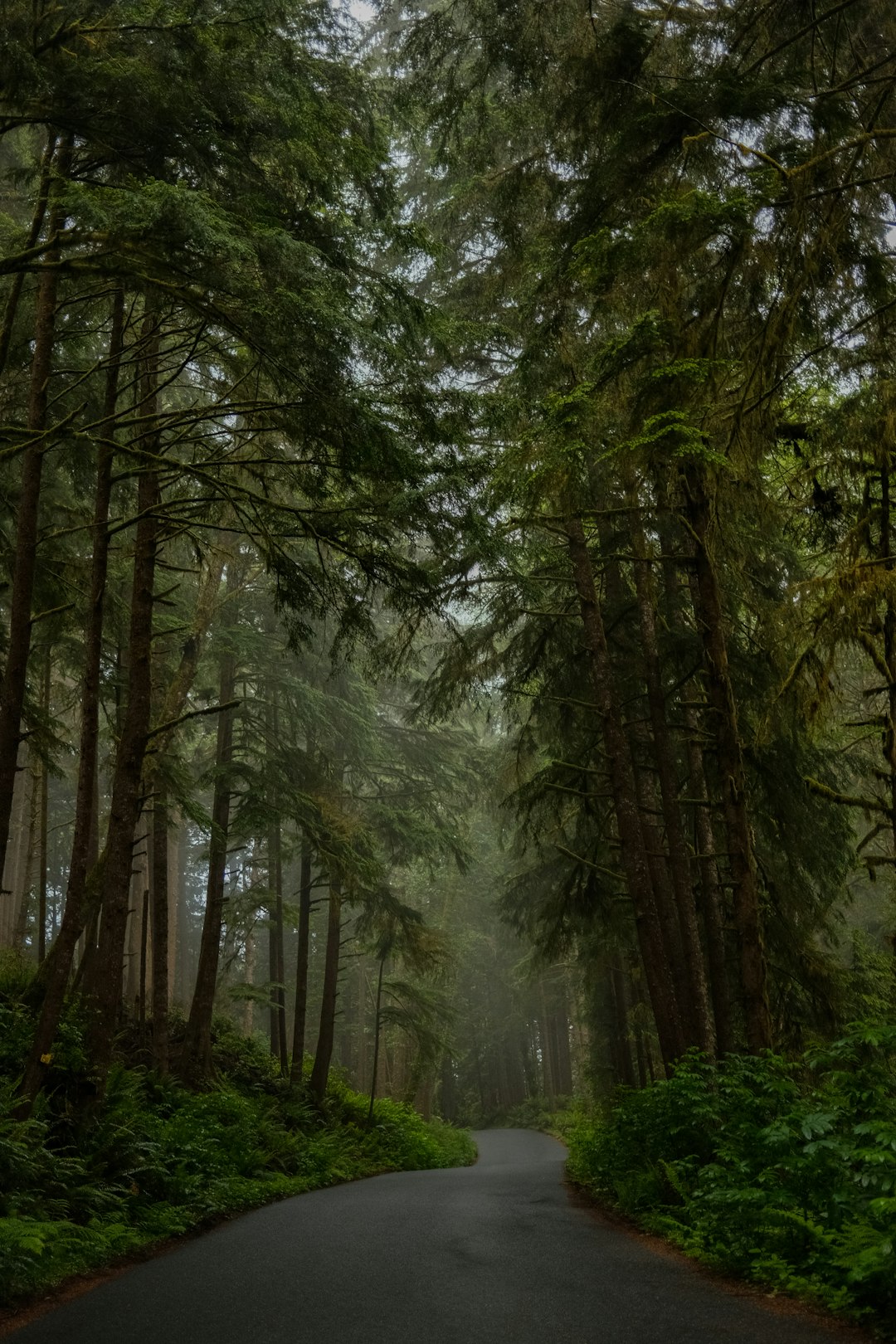 Oregon farm land for cash sale