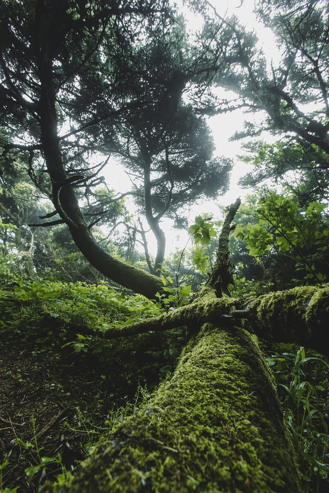 Sell vacant land in Oregon