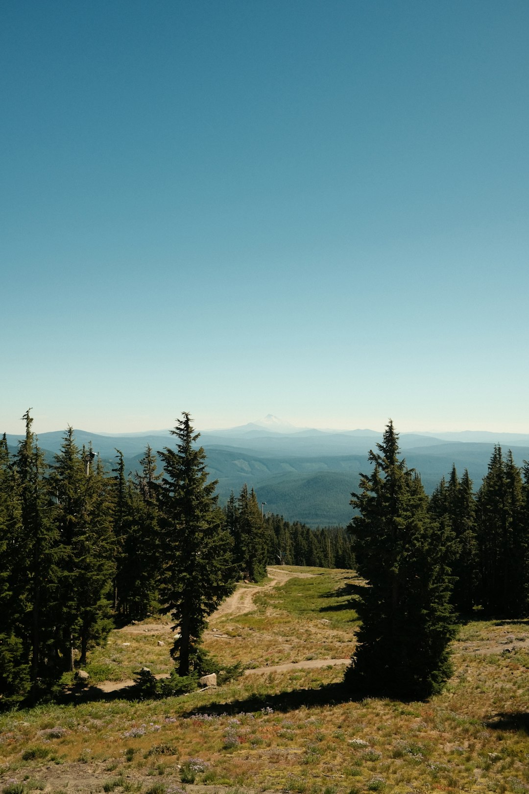 Cash for waterfront land in Oregon