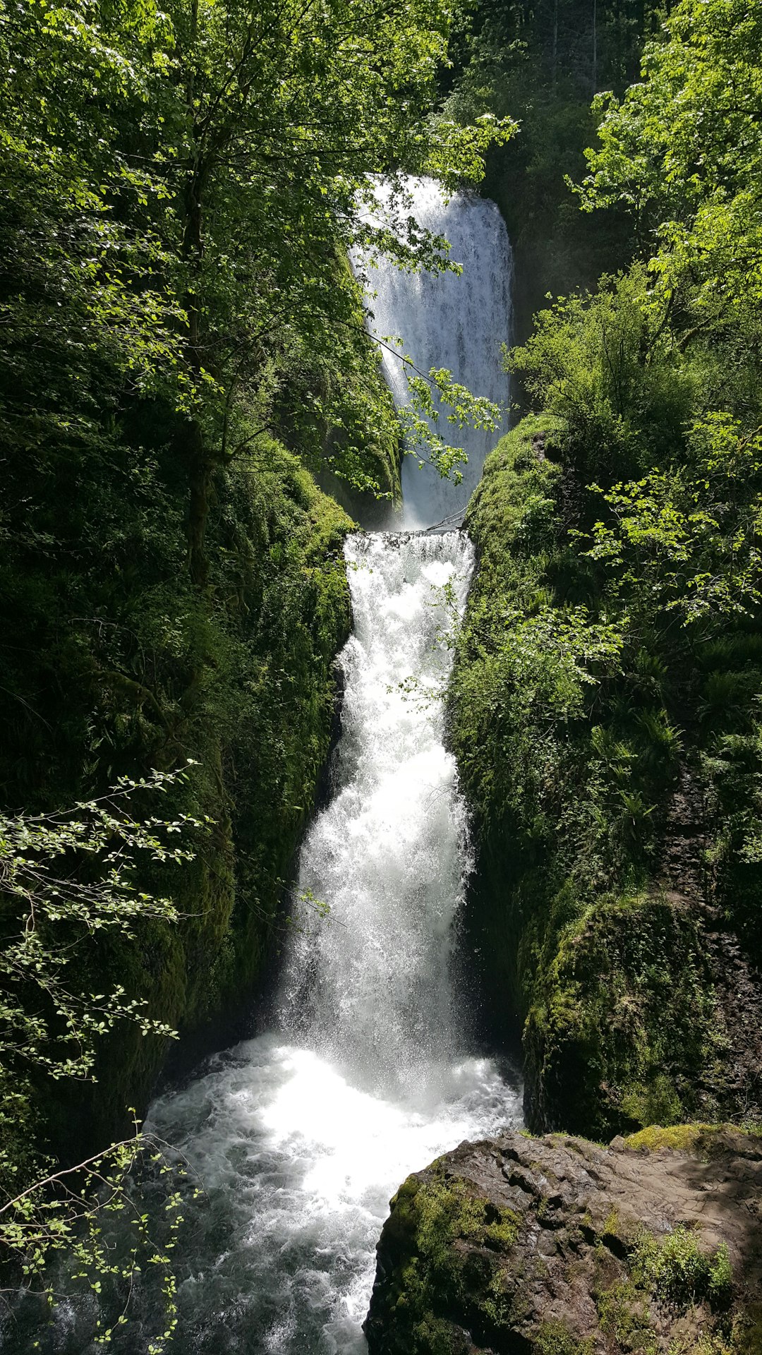 Oregon land for quick cash sale