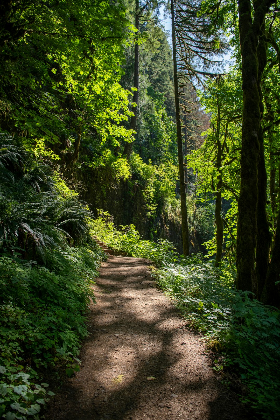 Oregon land for cash offer