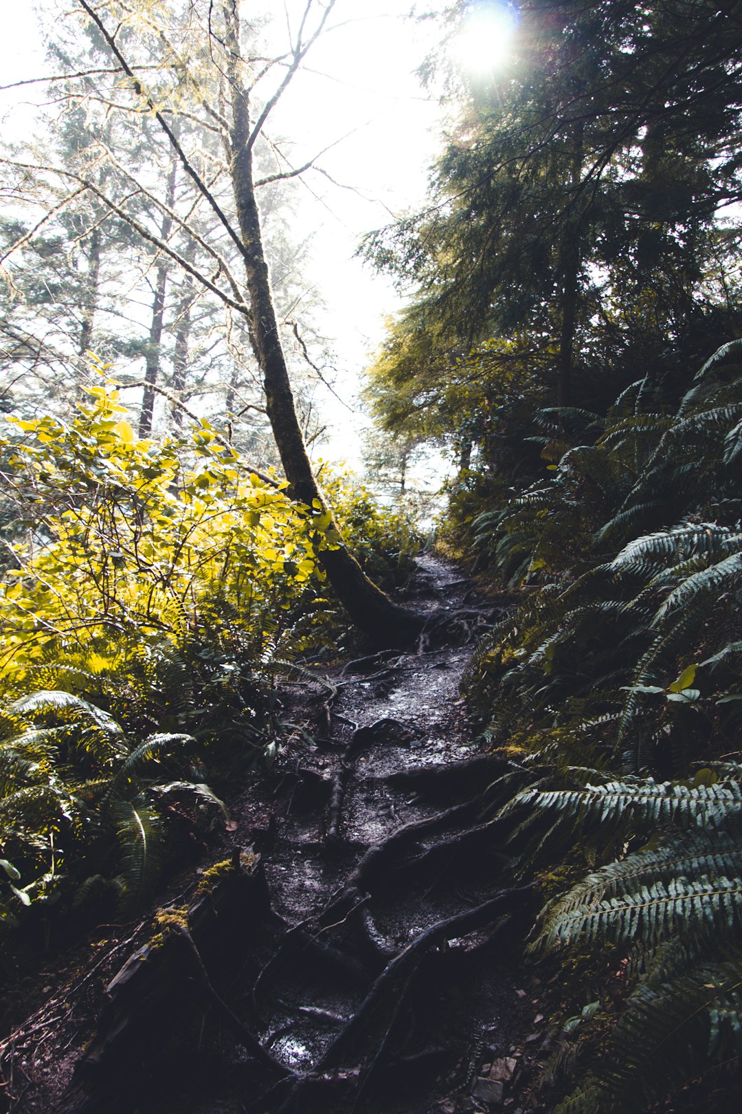 Oregon land buyers