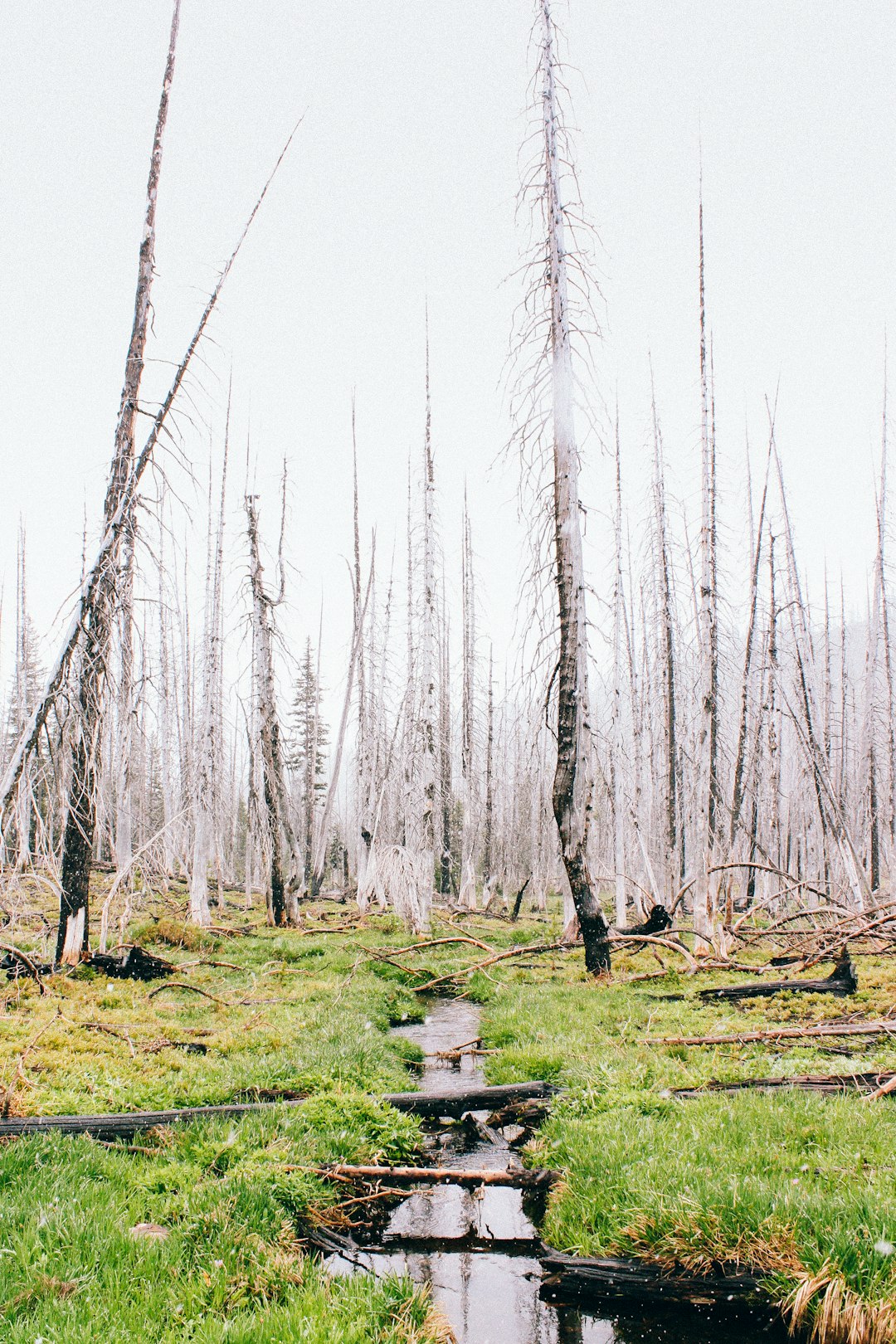 Wyoming land conservation programs