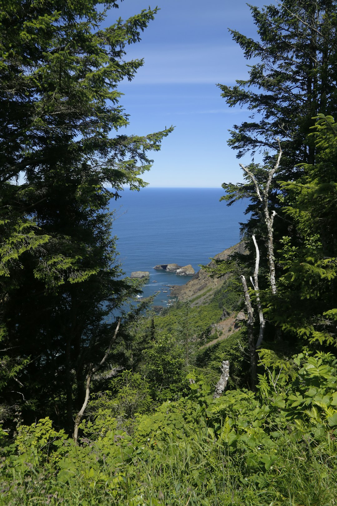 Cash for waterfront land in Oregon