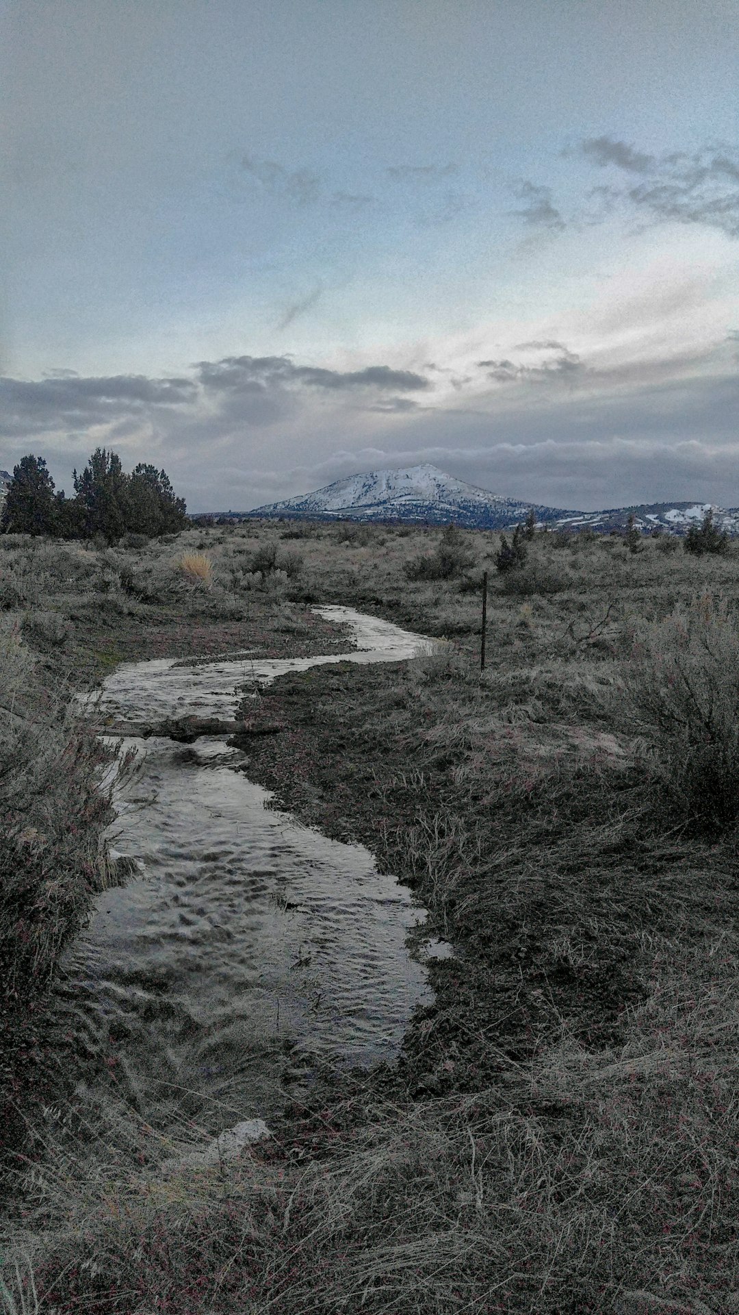 Montana rural land cash sale