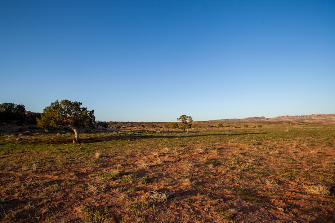 Sell hunting land in Nevada