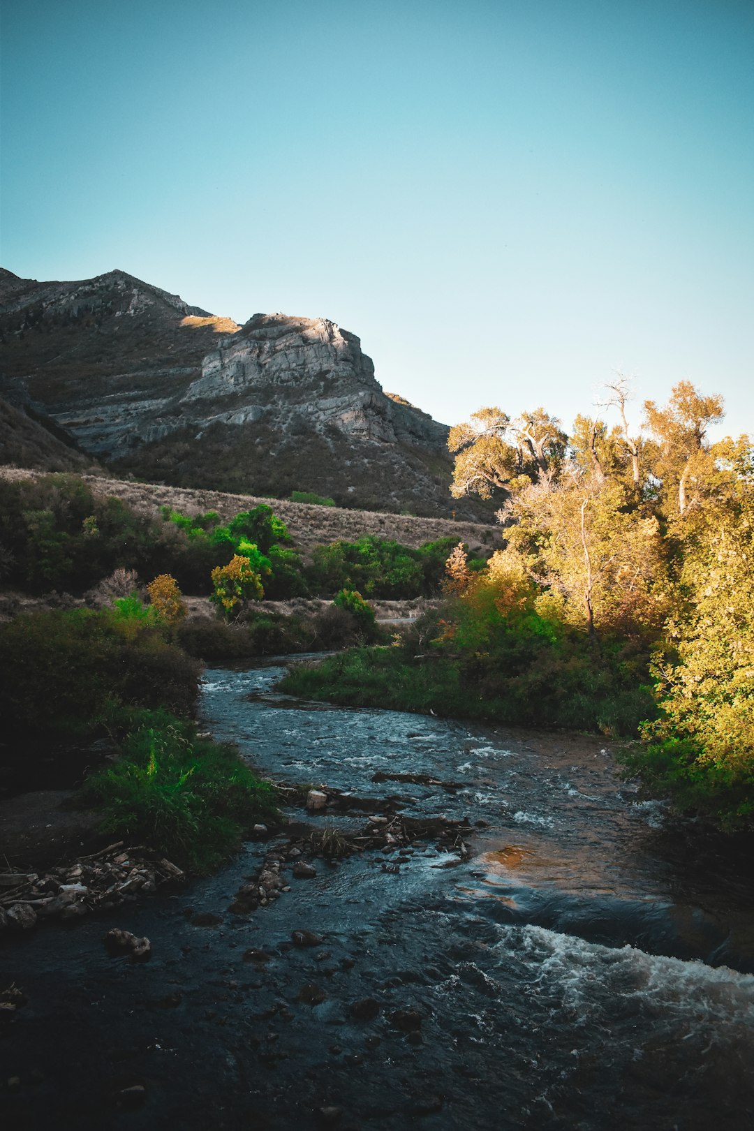 Wyoming land registry