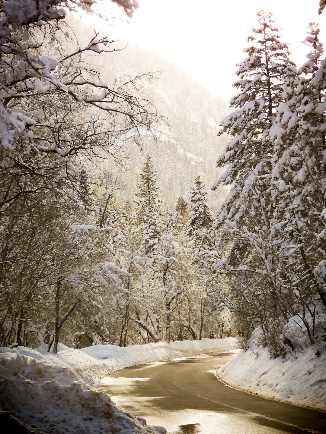 Nevada land stewardship