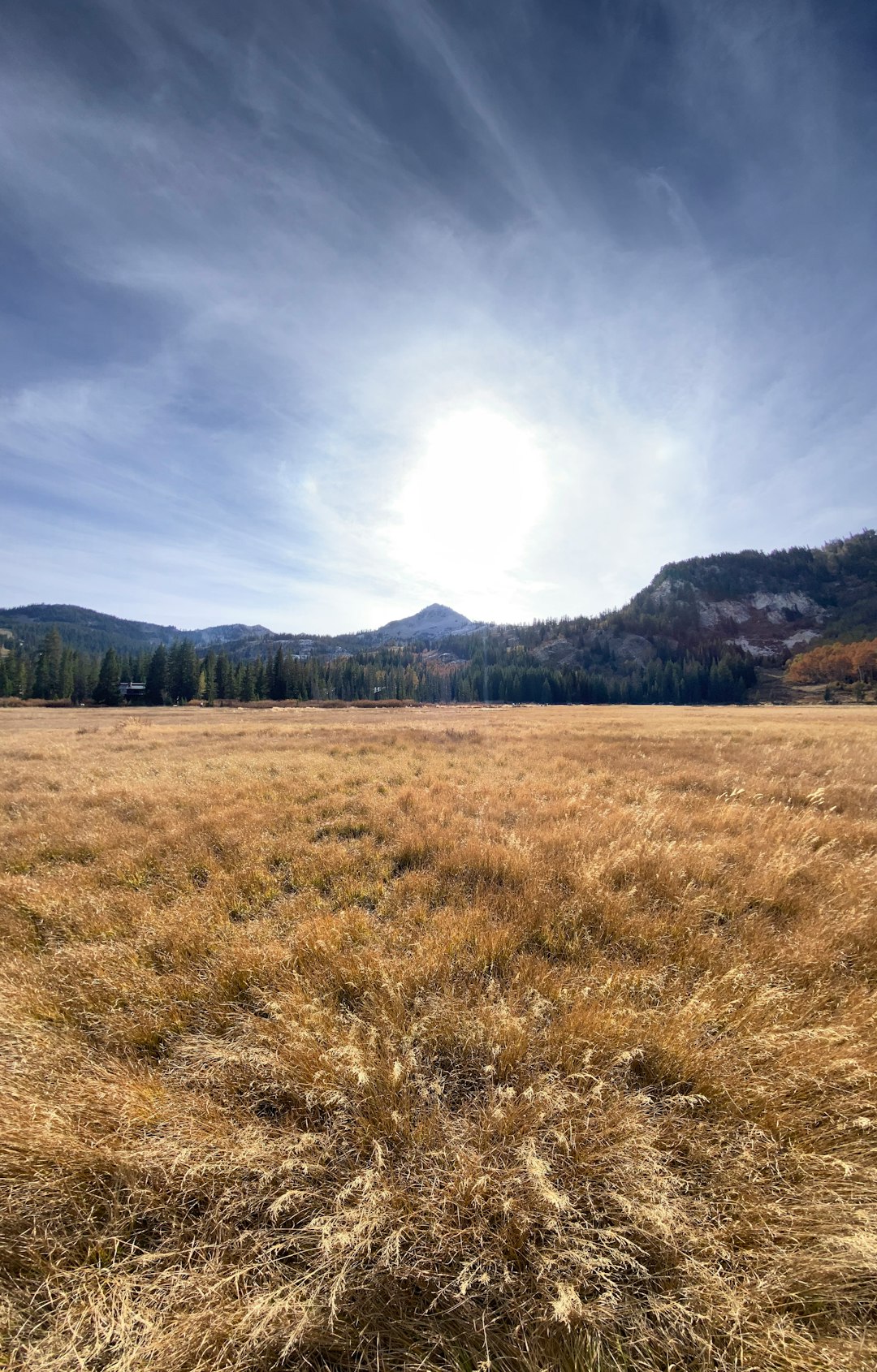 Wyoming land survey