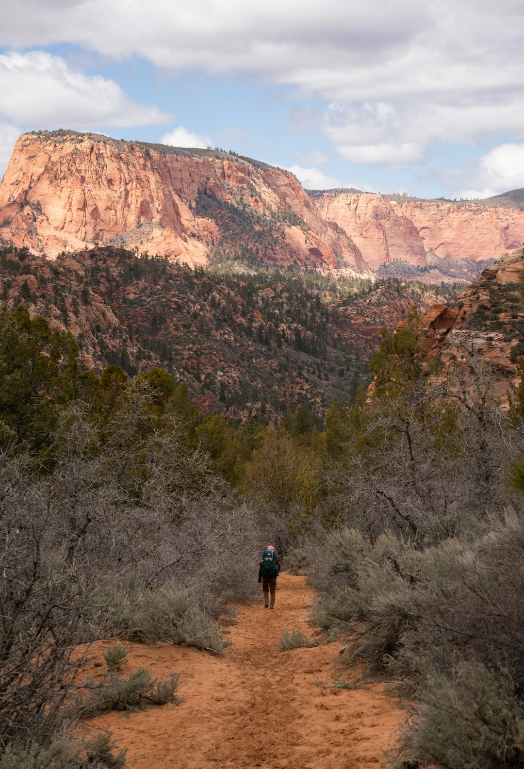 Nevada land specialist