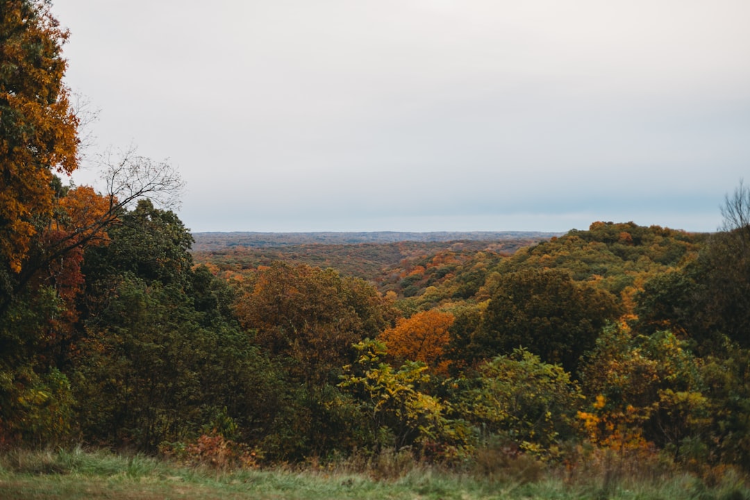 Cash buyer for rural Indiana land