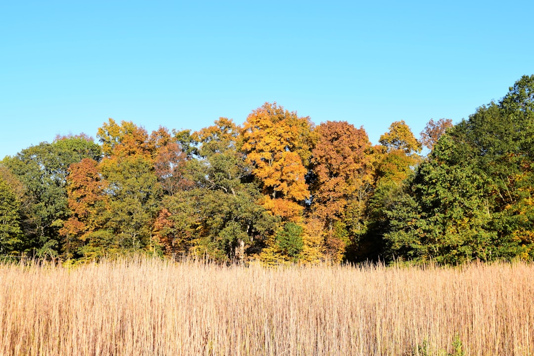 Quick Indiana land sale