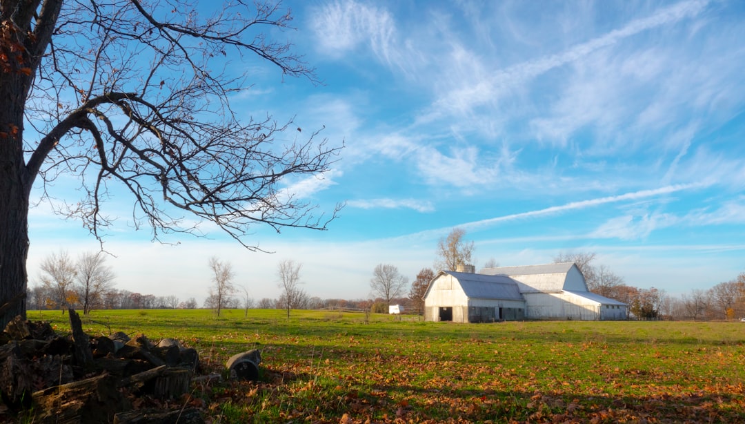 Cash buyers for Washington land