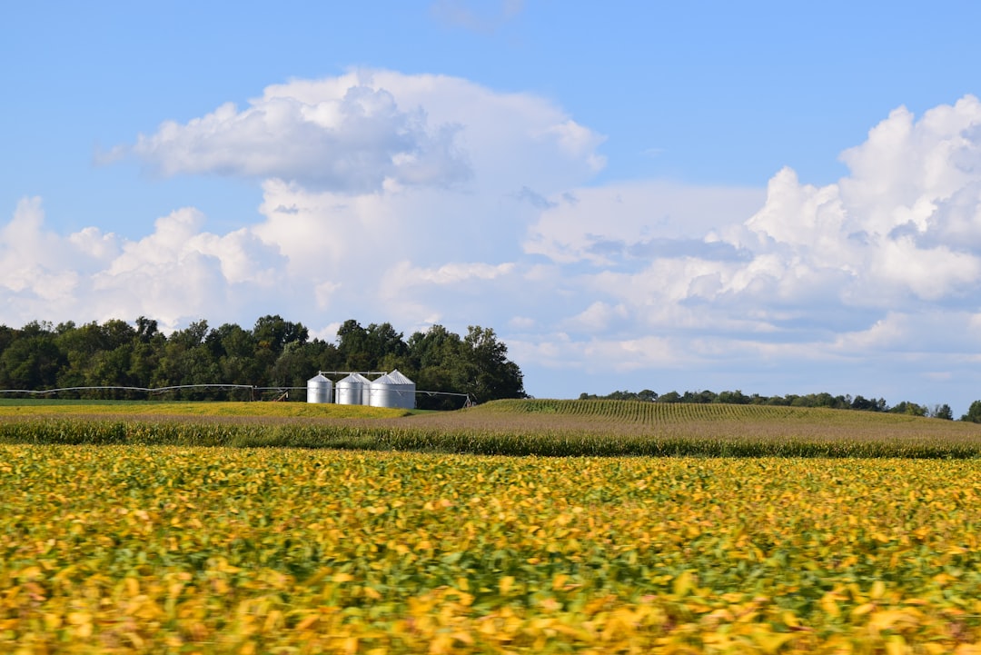 Indiana farmland buyers cash