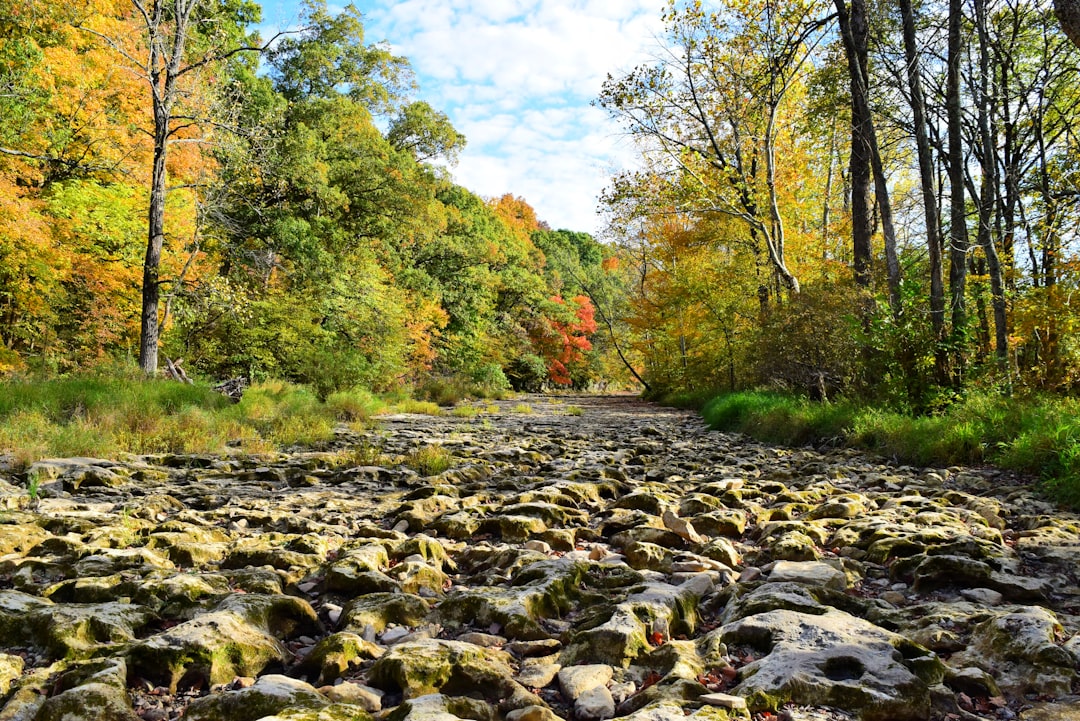 Buy land for cash Indiana