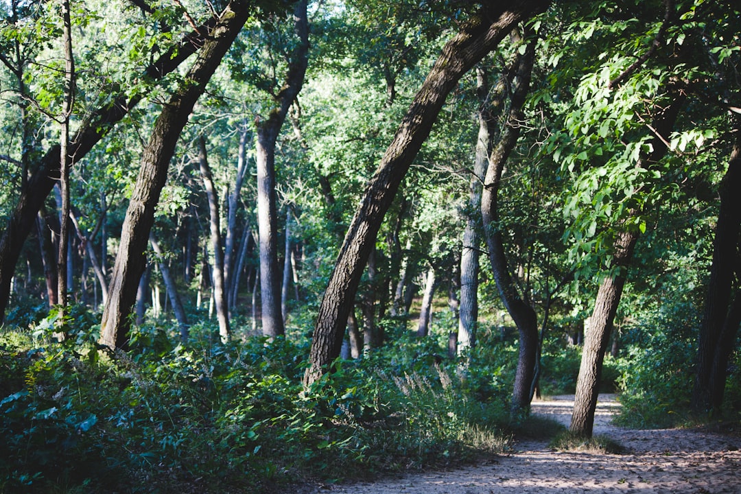 Indiana land buyers