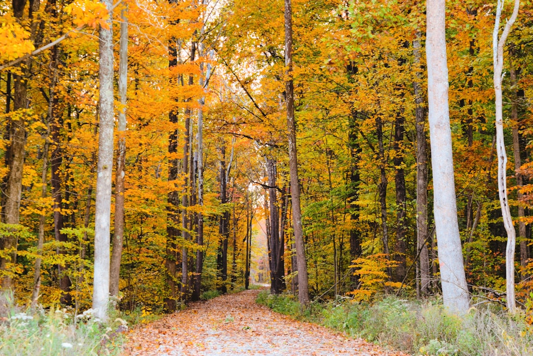 Indiana rural land cash sale