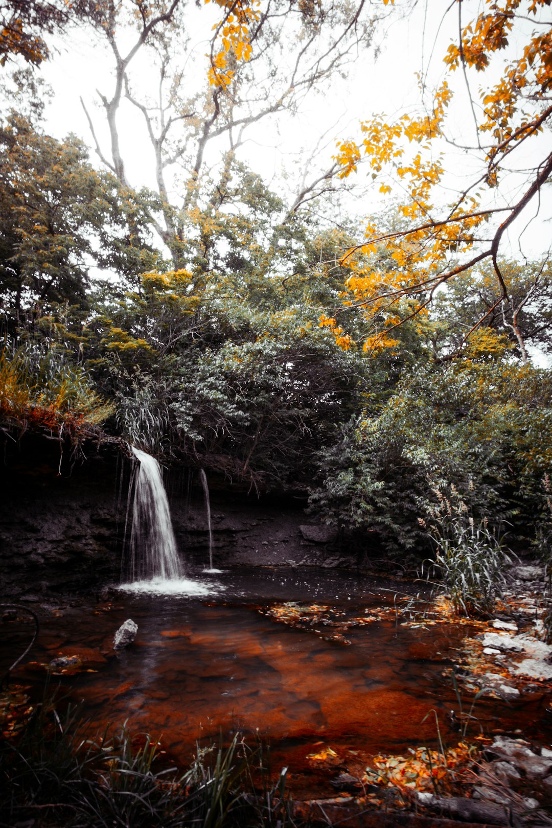 Sell Washington land privately for cash