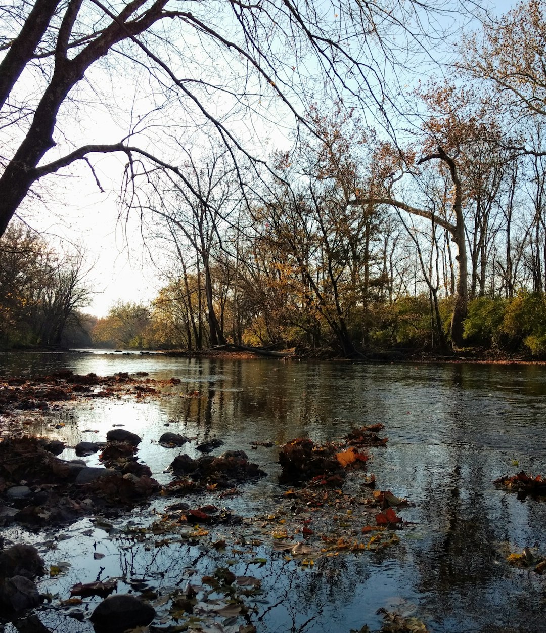 Cash buyers for vacant land in Indiana